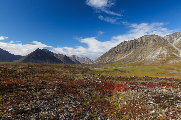Colorful autumn tundra and river Chukotka, Russia