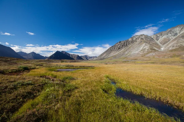 Horské údolí s ledovce — Stock fotografie