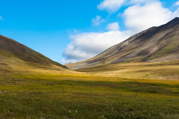 Pestré podzimní Čukotský tundra, polární kruh Rusko — Stock fotografie