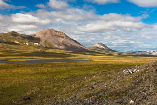 Renkli sonbahar Çukotka tundra, Çukotka. Rusya