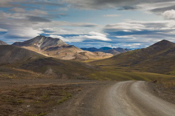 The stones road in Chukotka, Russia — Stock Photo, Image