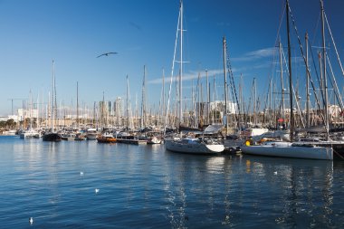 Barcelona bağlantı noktası görünümü ile birçok Yatlar. Port Barcelona, İspanya