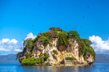 Island near the Samana shore, Dominican republic clipart