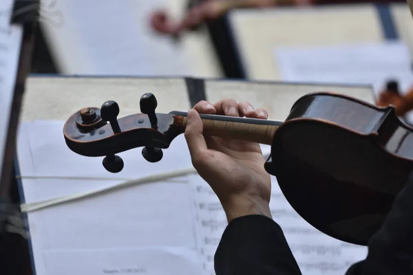Скрипка Время Концерта Руками Бантами — стоковое фото