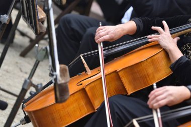 Konser sırasında çello, müzisyenin elleri ve bir yayla. 