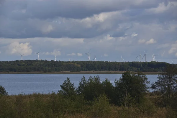 Windturbines Steken Uit Van Achter Het Bos Aan Oever Van — Stockfoto