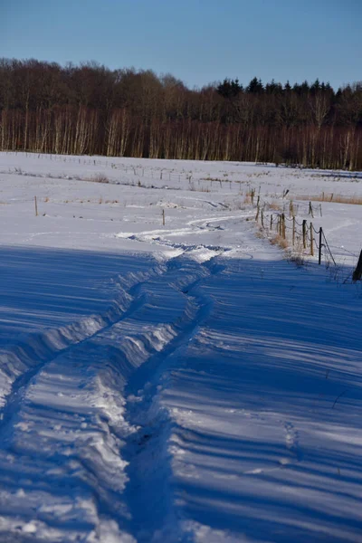 field road in winter through the fields of meadows to the forest