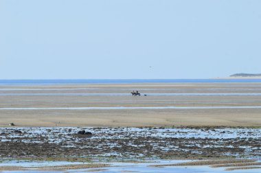 deniz ve Binicilik seferi Drain