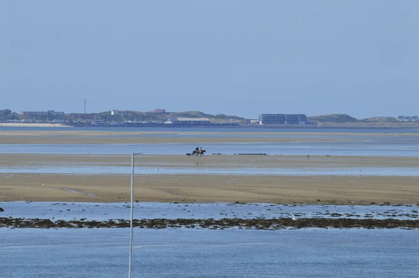 Drenar el mar y la expedición a caballo — Foto de Stock