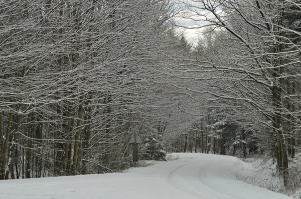 Schneebedeckte Straße — Stockfoto