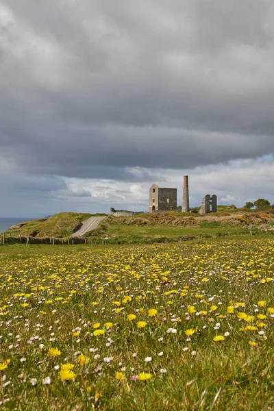 Była Kopalnia Brązu Opuszczona Irlandii Wiosna Kwiaty Zachmurzone Niebo Tankardstown — Zdjęcie stockowe