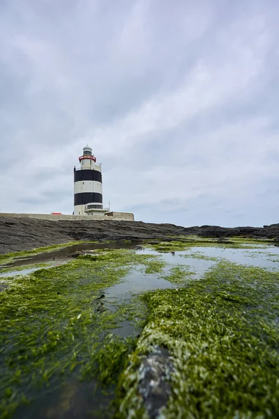 Pionowy Format Latarni Morskiej Otoczony Kamieniami Mchem Odbiciami Wodzie Wexford — Zdjęcie stockowe