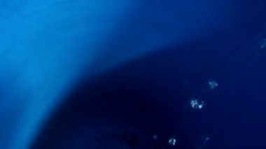 Oluklu ışıklar Su altı kabarcıklarında koyu mavi delik