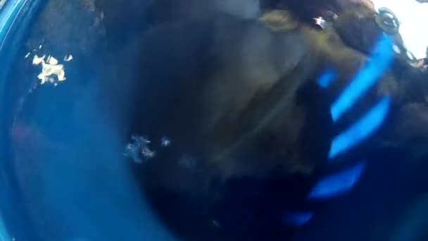 Wellblechleuchten Loch Auf Dunkelblau Auf Unterwasserblasen — Stockvideo