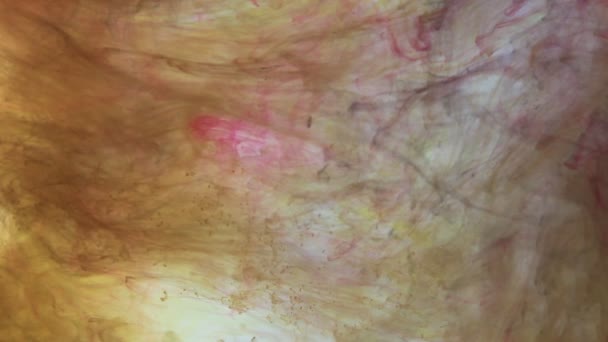 Поток Жидкости Цвет Движения Абстрактные Бесшовные Петли Черным Дымом Эффекты — стоковое видео