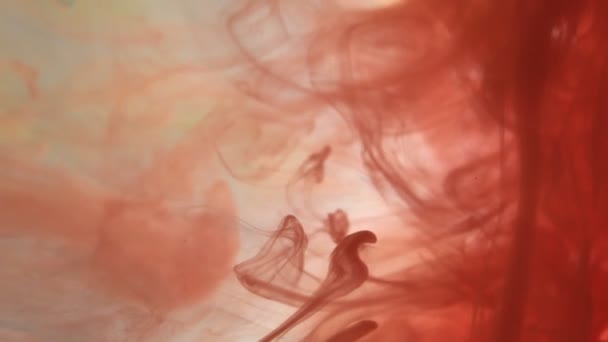 Дымовой Поток Креативная Визуальная Петля Смешивания Цветов Безмордый Абстрактный Тюнинг — стоковое видео
