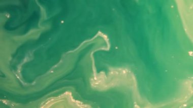 Renk Değişikliği Hareketi 'ni Koyuyor 