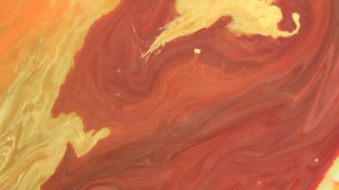 Hareketli Renk Hareketi AÇIKLARI GERÇEK VE KAYIP EDİYOR 