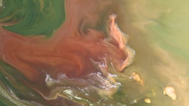 Szczegółowe Skuteczne Pętla Abstraktu Pływackiego Kolor Liquid — Wideo stockowe