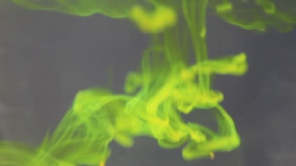 Farklı Yüzey Soyut Döngü Hareketi Efektlerinde Sıvı Renk Akışı — Stok video