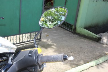 Yeşil Yaprak ve Bahçe Bahçesinde Yaban Çiçeği