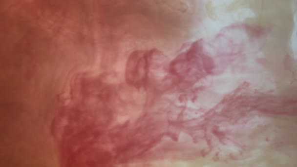 Sıvı Renklerin Yaratıcı Karıştırması — Stok video
