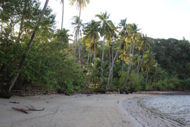Gökyüzü Mavi Yaz Cenneti Plaj Doğa Manzarası Doğası