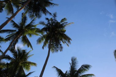 Gökyüzü Mavi Yaz Cenneti Plaj Doğa Manzarası Doğası