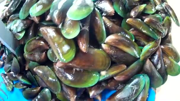 Verse Markt Zien Verkoop Seafood Hour — Stockvideo