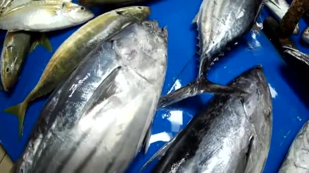 Kühler Frischer Fisch Und Gemüse Auf Dem Ausstellermarkt — Stockvideo