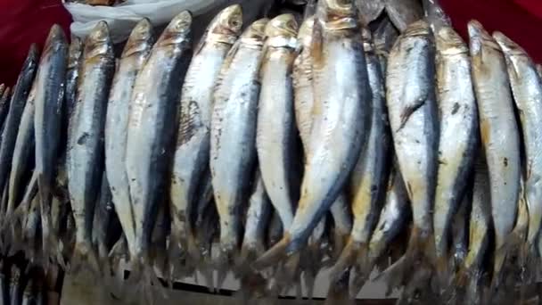 Δροσερά Φρέσκα Ψάρια Και Λαχανικά Στην Αγορά Επίδειξης — Αρχείο Βίντεο