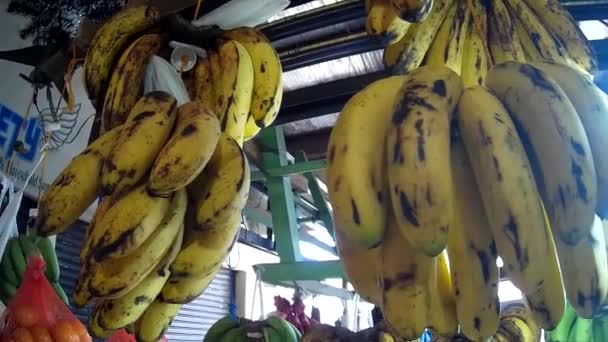 Ovocný Banán Visící Displej Trhu — Stock video