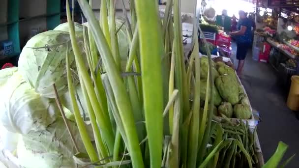 Vegetable Food Green Leaf Harvest — Stock Video