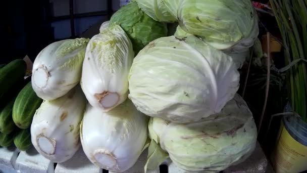 Légumes Nourriture Feuille Verte Récolte — Video