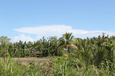 Proje İlerlemesi Üzerine İnşaat Alanı Beton Malzemeleri