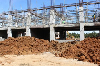 Field Garden 'da Doğa Yaz mevsimi Çiçeği 