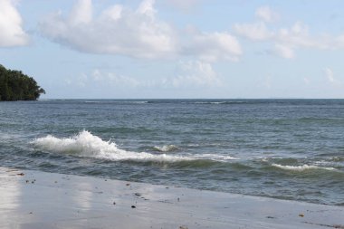 Shore Sea Shine Bir Sabah Saati