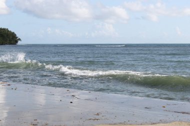 Shore Sea Shine Bir Sabah Saati