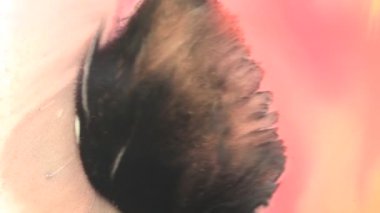 Sanatsal Sarı Siyah Hareket Rengi Yüzeylerde Karıştırıcı Parıltı