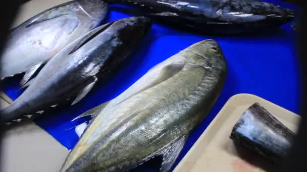 Pescado Fresco Talakitok Crudo Venta Exhibición Tabla Piel Brillante Mercado — Vídeo de stock