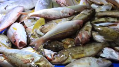 Orfoz balıklı taze balık levreği halka açık markette satışta. 