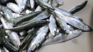 Masadaki Taze Gümüş Balık Islak Pazarda Görünür 