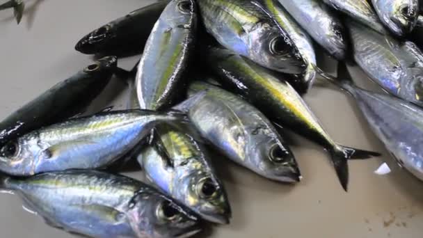 Verse Zilveren Vis Een Tafeltegels Display Zakelijke Verkoop — Stockvideo