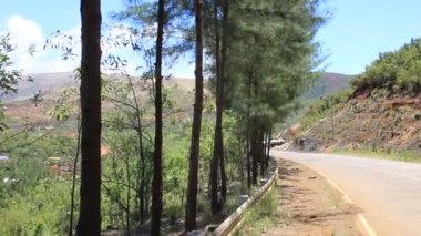 Doğa ağacının arkasındaki yüksek yoldaki köprü yaz aylarında mavi gökyüzünde toprak dikiyor.