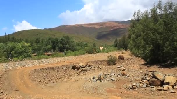 Ponte Sulla Strada Maestra Dietro Albero Della Natura Piantare Terra — Video Stock