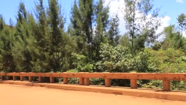 Most Dálnici Přírodou Výsadba Stromů Země Letní Modré Obloze — Stock video