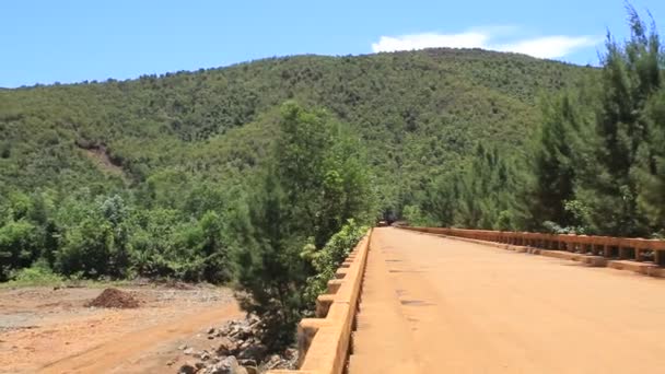背後の高速道路の橋夏の青空に土地を植える — ストック動画