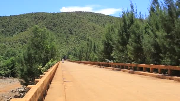 Ponte Estrada Por Trás Árvore Natureza Plantando Terra Céu Azul — Vídeo de Stock