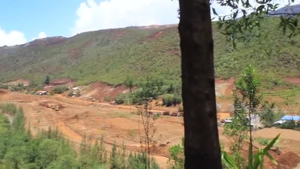 Ponte Sulla Strada Maestra Dietro Albero Della Natura Piantare Terra — Video Stock