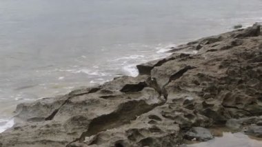 Tropikal bir sahilde, Coco Tree Ormanı Dağı ve Su Sıçratan Dalgalar Turistik Yeri ile Bulutlu Saat